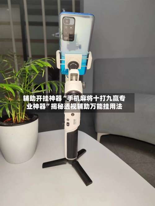 辅助开挂神器“手机麻将十打九赢专业神器	”揭秘透视辅助万能挂用法-第1张图片