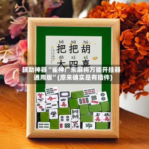 辅助神器“雀神广东麻将万能开挂器通用版”(原来确实是有插件)-第1张图片