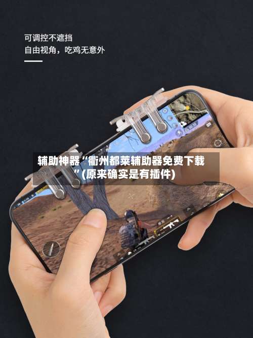 辅助神器“衢州都莱辅助器免费下载”(原来确实是有插件)-第1张图片