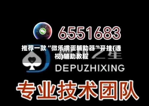 推荐一款“微乐掼蛋辅助器”开挂(透视)辅助教程-第3张图片