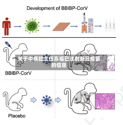 关于中疾控主任高福已注射新冠疫苗的信息-第1张图片