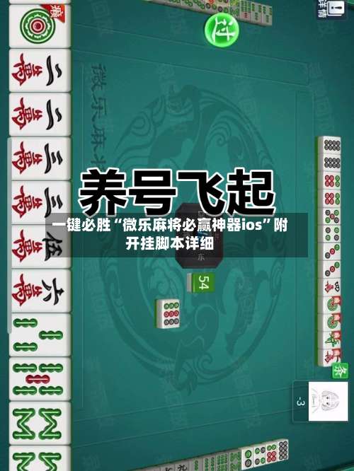 一键必胜“微乐麻将必赢神器ios”附开挂脚本详细-第1张图片