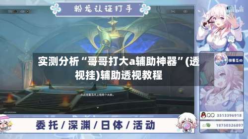 实测分析“哥哥打大a辅助神器”(透视挂)辅助透视教程-第2张图片