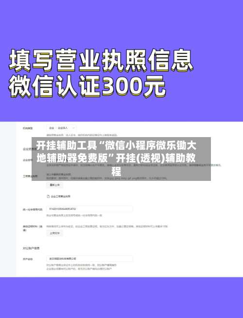 开挂辅助工具“微信小程序微乐锄大地辅助器免费版”开挂(透视)辅助教程-第3张图片