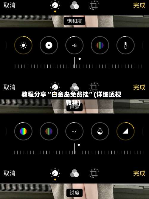 教程分享“白金岛免费挂	”(详细透视教程)-第2张图片