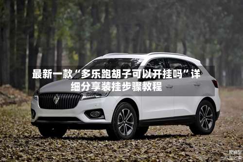 最新一款“多乐跑胡子可以开挂吗	”详细分享装挂步骤教程-第2张图片