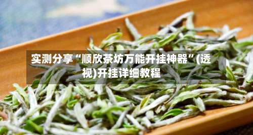 实测分享“顺欣茶坊万能开挂神器	”(透视)开挂详细教程-第1张图片