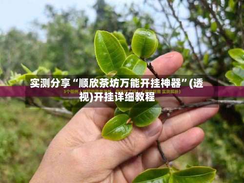 实测分享“顺欣茶坊万能开挂神器”(透视)开挂详细教程-第2张图片