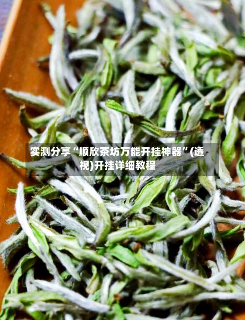 实测分享“顺欣茶坊万能开挂神器”(透视)开挂详细教程-第3张图片