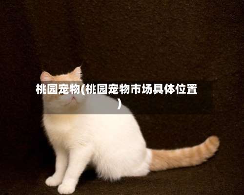 桃园宠物(桃园宠物市场具体位置)-第1张图片