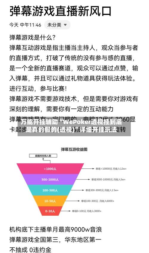 万能开挂辅助“WePoker透视挂到底是真的假的(透视)”详细开挂玩法-第2张图片