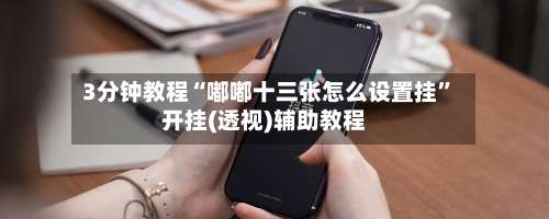 3分钟教程“嘟嘟十三张怎么设置挂”开挂(透视)辅助教程-第1张图片