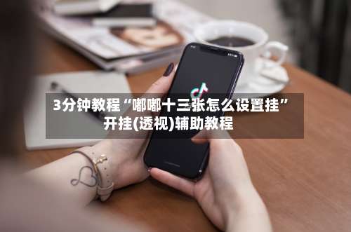 3分钟教程“嘟嘟十三张怎么设置挂	”开挂(透视)辅助教程-第2张图片