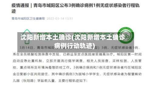 沈阳新增本土确诊(沈阳新增本土确诊病例行动轨迹)-第1张图片