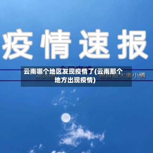云南哪个地区发现疫情了(云南那个地方出现疫情)-第3张图片