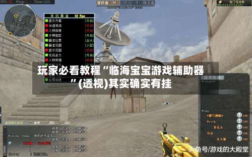 玩家必看教程“临海宝宝游戏辅助器”(透视)其实确实有挂-第2张图片