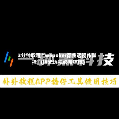 3分钟教程“wepoker德州透视作弊挂	”(曝光透视必备猫腻)-第3张图片