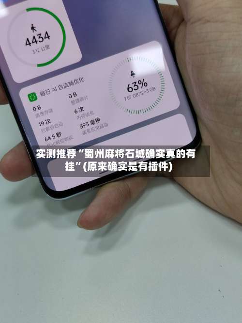 实测推荐“蜀州麻将石城确实真的有挂”(原来确实是有插件)-第1张图片