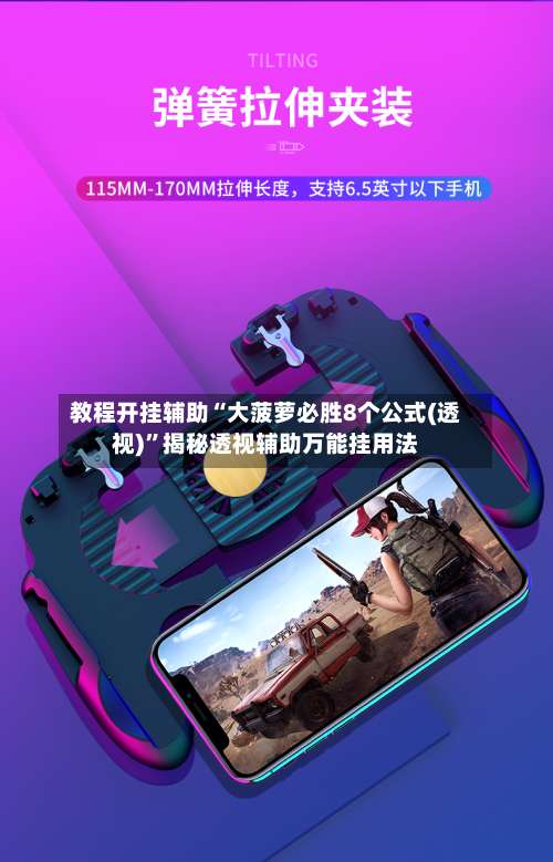 教程开挂辅助“大菠萝必胜8个公式(透视)	”揭秘透视辅助万能挂用法-第1张图片