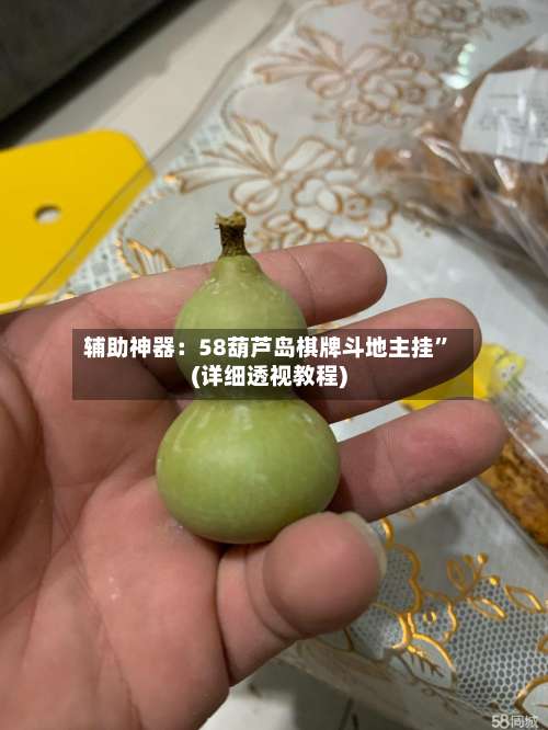 辅助神器：58葫芦岛棋牌斗地主挂	”(详细透视教程)-第1张图片