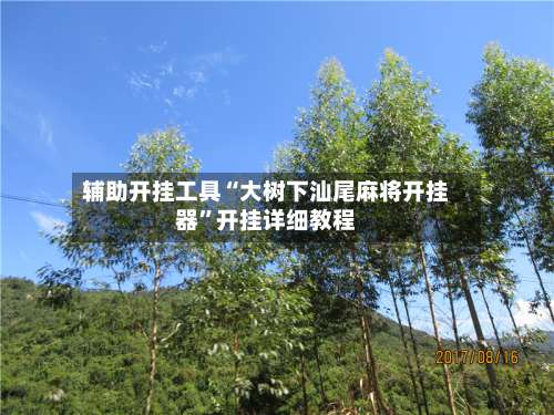 辅助开挂工具“大树下汕尾麻将开挂器”开挂详细教程-第1张图片