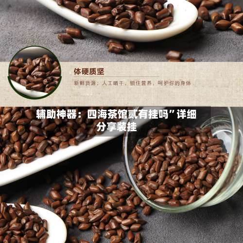 辅助神器：四海茶馆贰有挂吗”详细分享装挂-第2张图片