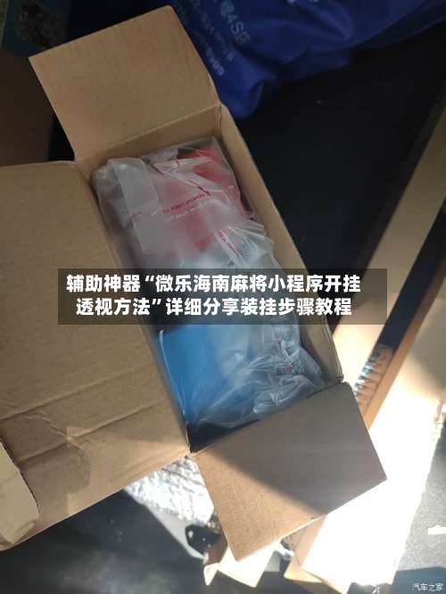 辅助神器“微乐海南麻将小程序开挂透视方法	”详细分享装挂步骤教程-第2张图片