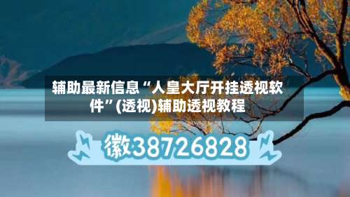 辅助最新信息“人皇大厅开挂透视软件	”(透视)辅助透视教程-第1张图片
