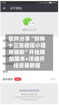 软件分享“财神十三张微信小程序辅助	”开挂辅助脚本+详细开挂安装教程-第2张图片