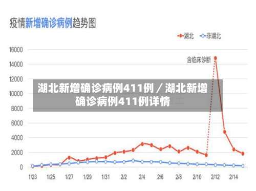 湖北新增确诊病例411例／湖北新增确诊病例411例详情-第2张图片