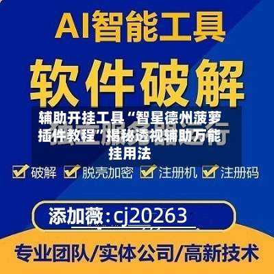 辅助开挂工具“智星德州菠萝插件教程”揭秘透视辅助万能挂用法-第1张图片