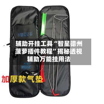 辅助开挂工具“智星德州菠萝插件教程”揭秘透视辅助万能挂用法-第3张图片