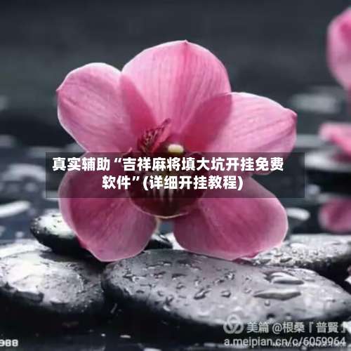 真实辅助“吉祥麻将填大坑开挂免费软件	”(详细开挂教程)-第1张图片