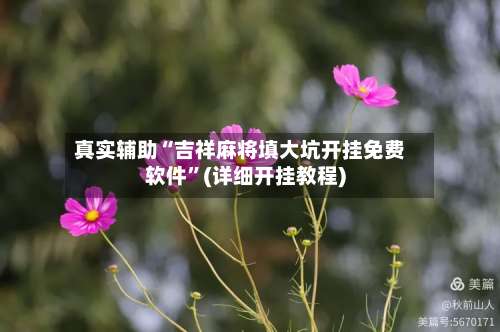 真实辅助“吉祥麻将填大坑开挂免费软件”(详细开挂教程)-第3张图片