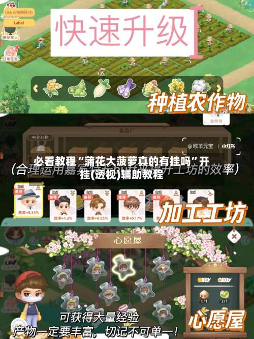 必看教程“蒲花大菠萝真的有挂吗	”开挂(透视)辅助教程-第1张图片