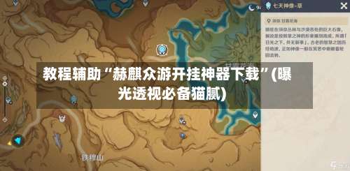 教程辅助“赫麒众游开挂神器下载”(曝光透视必备猫腻)-第2张图片