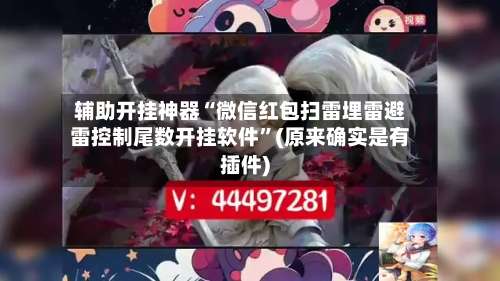 辅助开挂神器“微信红包扫雷埋雷避雷控制尾数开挂软件”(原来确实是有插件)-第1张图片