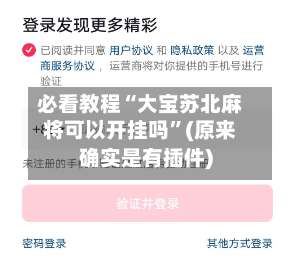 必看教程“大宝苏北麻将可以开挂吗	”(原来确实是有插件)-第2张图片