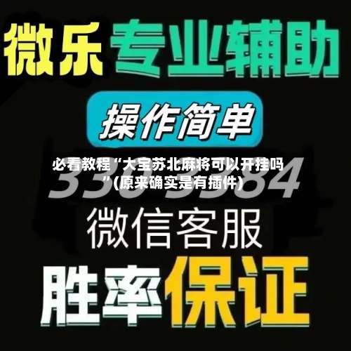 必看教程“大宝苏北麻将可以开挂吗”(原来确实是有插件)-第1张图片