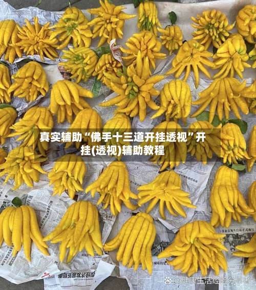 真实辅助“佛手十三道开挂透视”开挂(透视)辅助教程-第1张图片