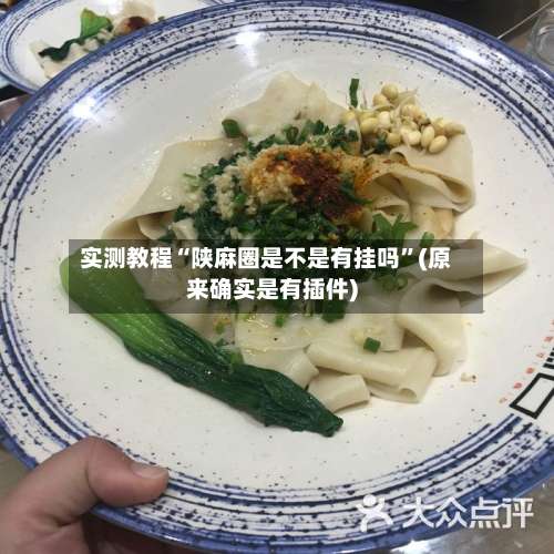 实测教程“陕麻圈是不是有挂吗	”(原来确实是有插件)-第2张图片