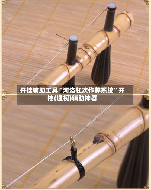 开挂辅助工具“河洛杠次作弊系统	”开挂(透视)辅助神器-第1张图片