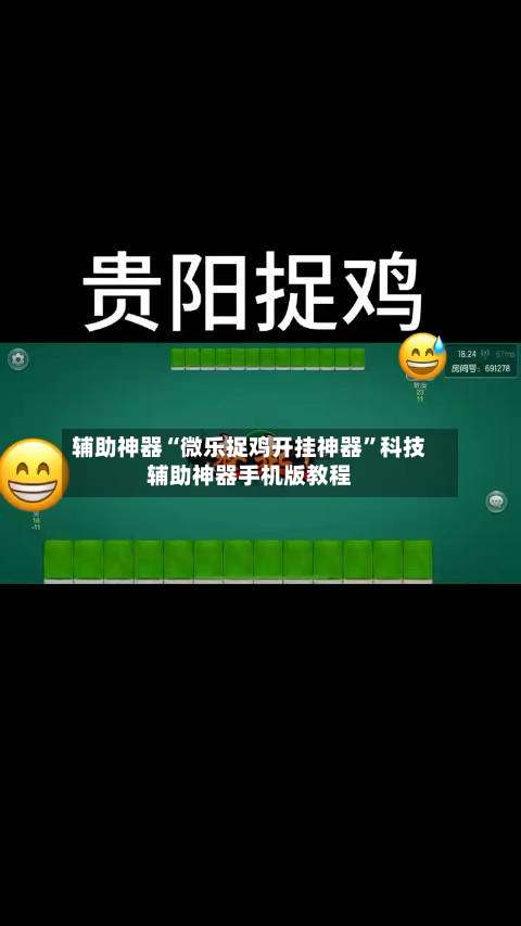 辅助神器“微乐捉鸡开挂神器”科技辅助神器手机版教程-第3张图片