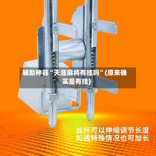 辅助神器“天涯麻将有挂吗”(原来确实是有挂)-第3张图片