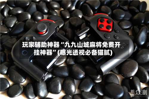 玩家辅助神器“九九山城麻将免费开挂神器”(曝光透视必备猫腻)-第1张图片