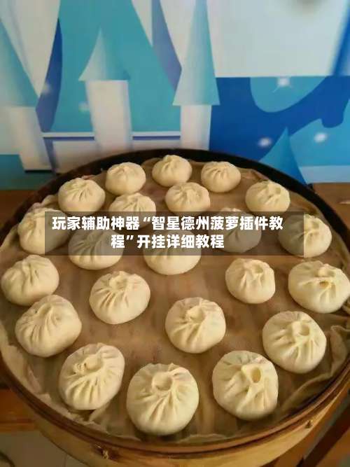 玩家辅助神器“智星德州菠萝插件教程	”开挂详细教程-第1张图片