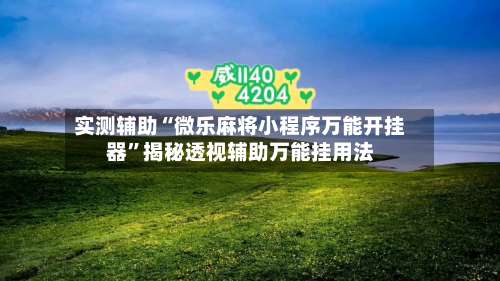 实测辅助“微乐麻将小程序万能开挂器”揭秘透视辅助万能挂用法-第1张图片