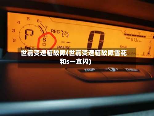 世嘉变速箱故障(世嘉变速箱故障雪花和s一直闪)-第3张图片