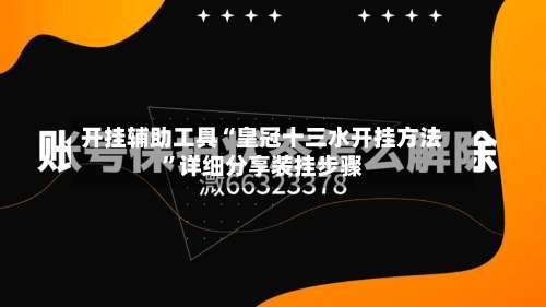 开挂辅助工具“皇冠十三水开挂方法”详细分享装挂步骤-第3张图片