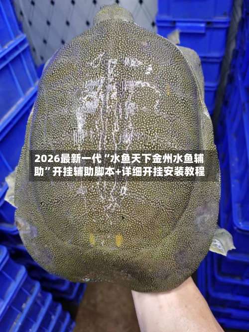 2026最新一代“水鱼天下金州水鱼辅助	”开挂辅助脚本+详细开挂安装教程-第1张图片